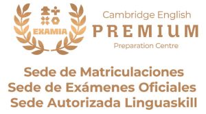 Centro-ingles-premium-Almeria-JPG